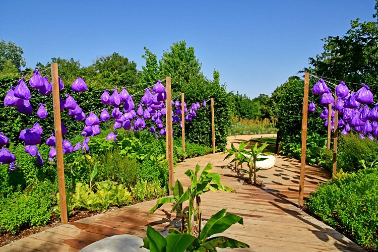 Les jardins de Chaumont-sur-Loire