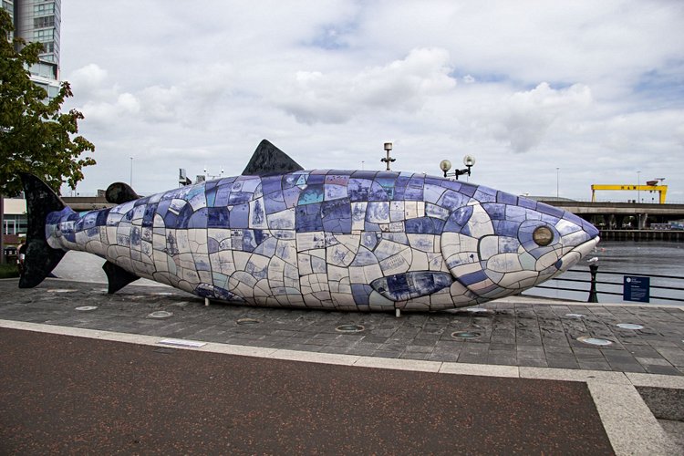 The Big Fish, le poisson bleu de la sagesse