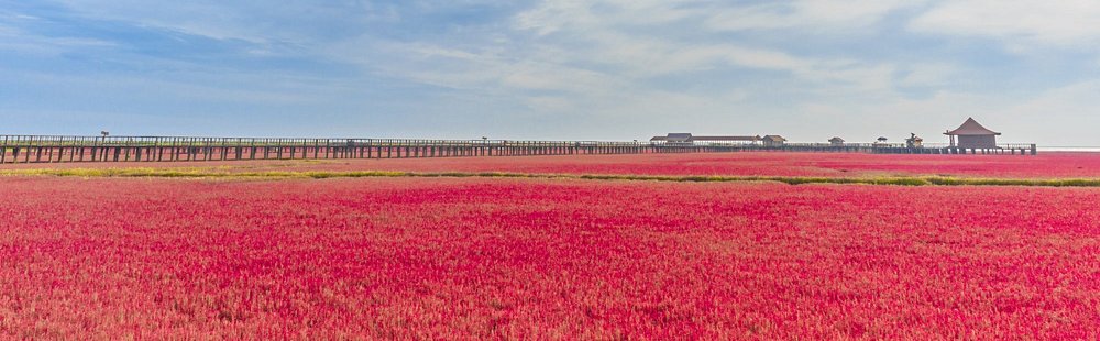 Plage rouge de Panjin