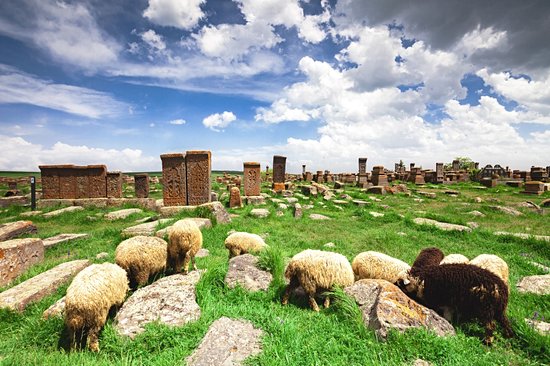 Noradouz