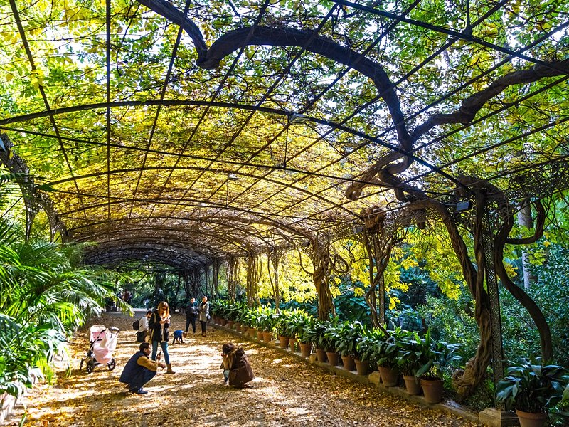 Jardin botanique historique La Concepción