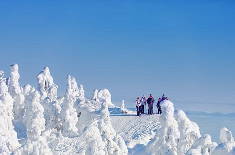 Skier et randonner dans le parc national de Koli