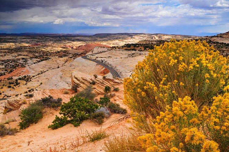 Escalante Monument, Utah 4