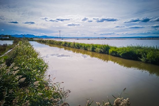 Parc national El Palmar