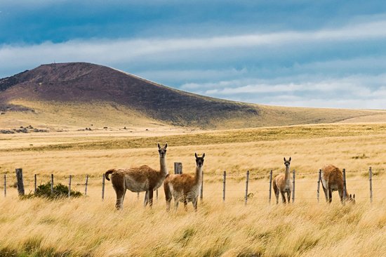 La Pampa