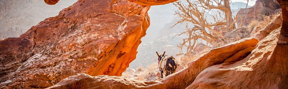 Les randonnées pédestres dans le Wadi Rum