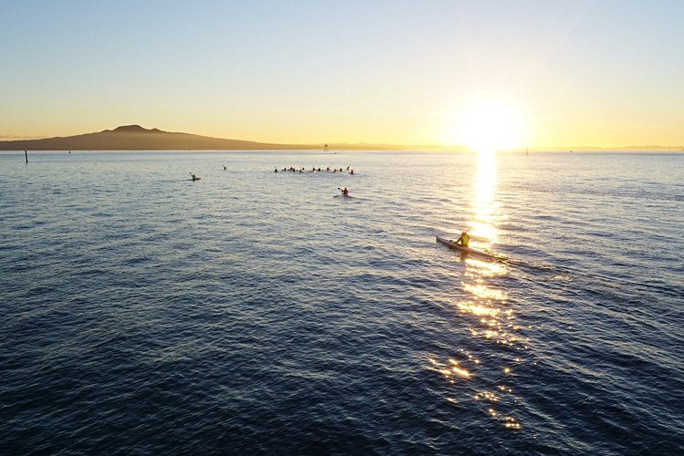 L'île de Rangitoto 4