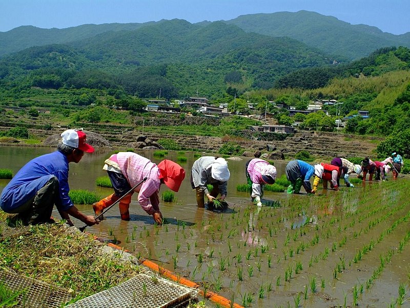 Province de Jeolla