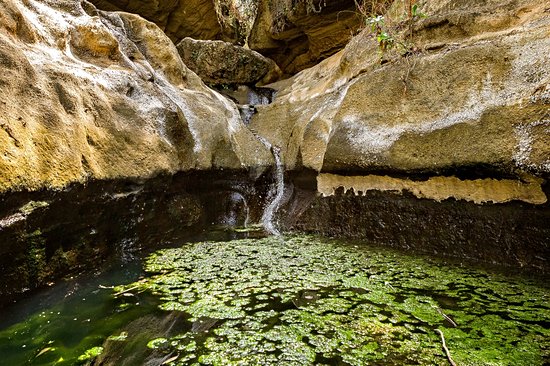 Parc national de Hell's Gate