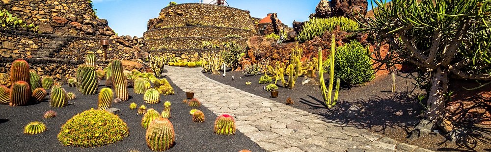 Jardin des Cactus