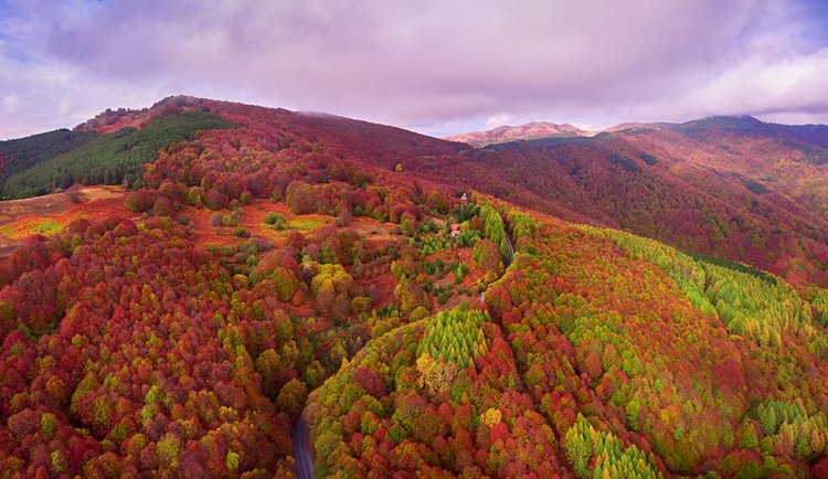 La petite station de Ponikva 4