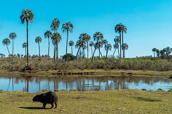 Parc national El Palmar