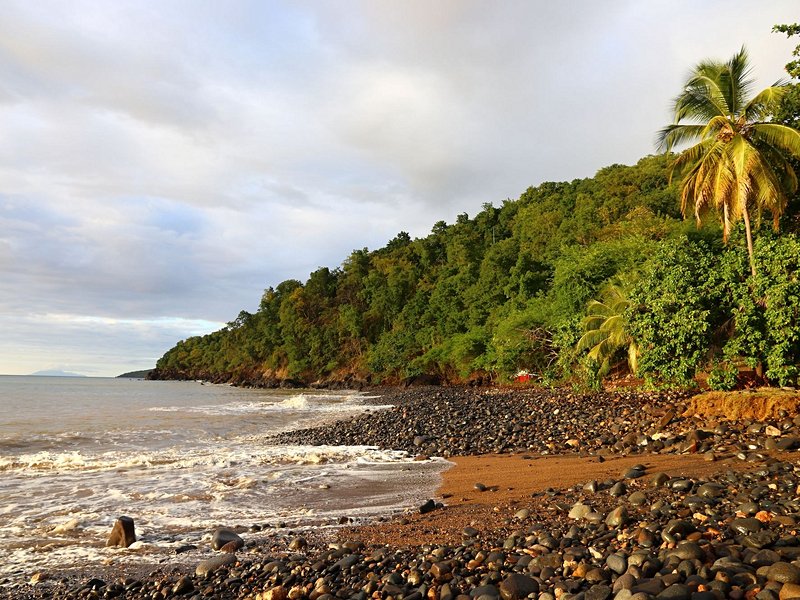 Plage Caraïbe, Pointe-Noire
