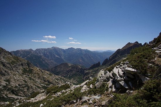 Forêt de Vizzavona