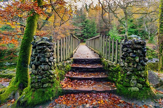 Tollymore Forest Park