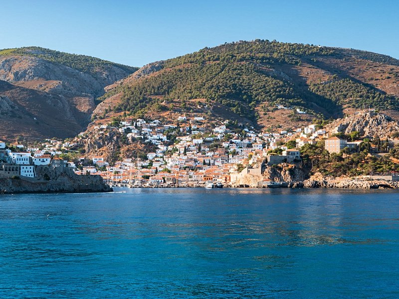 Hydra