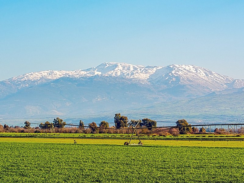 Le plateau du Golan