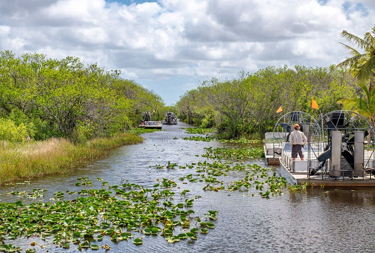 Everglades et Big Cypress