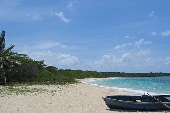 Playa Los Pinos