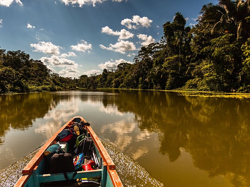 Amazonie