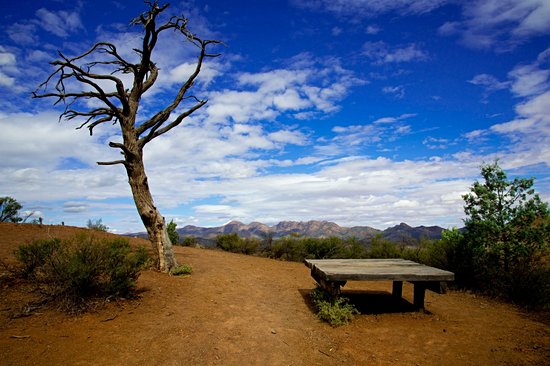 Parc national des Ikara-Flinders Ranges