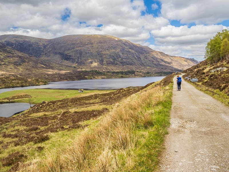 Glen Affric, Highlands