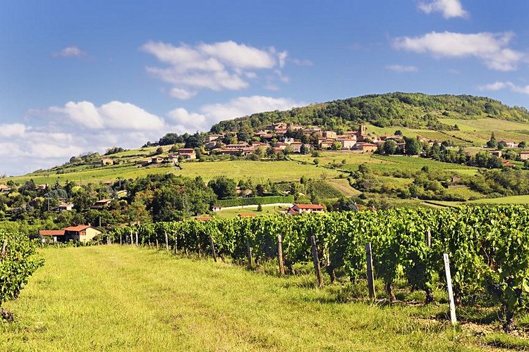 Le Beaujolais