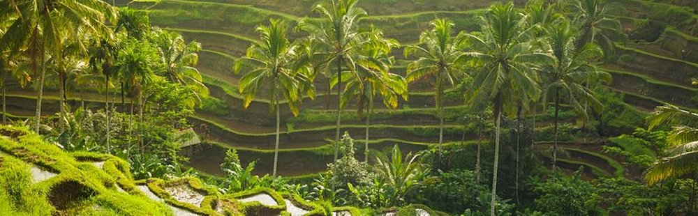 Ubud (Bali)