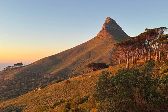 Lion’s Head
