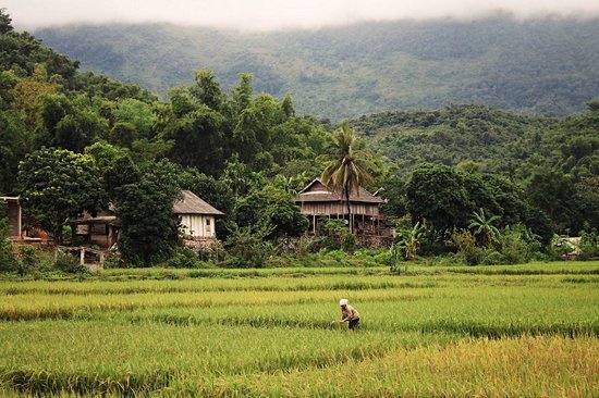 Mai Châu