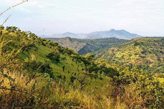 Parc national de Mago