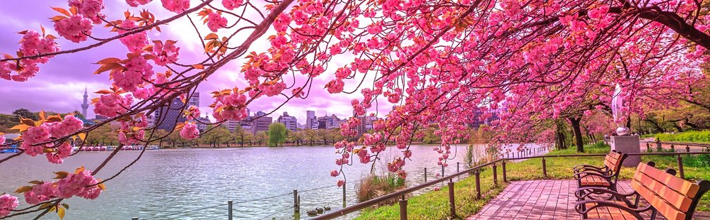 Le parc Ueno
