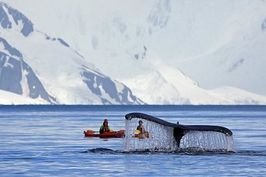 Faire du kayak à travers la péninsule