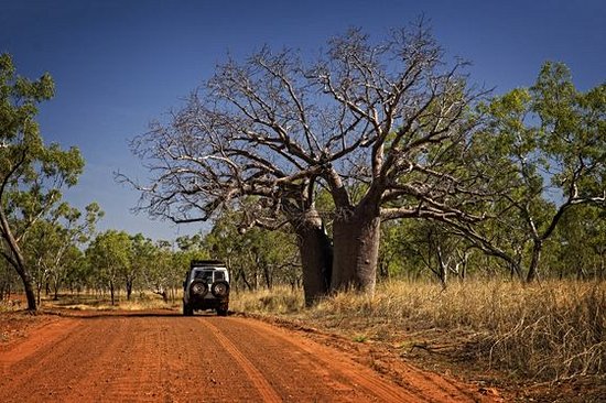 Conduire un 4x4 dans le bush ou sur les dunes