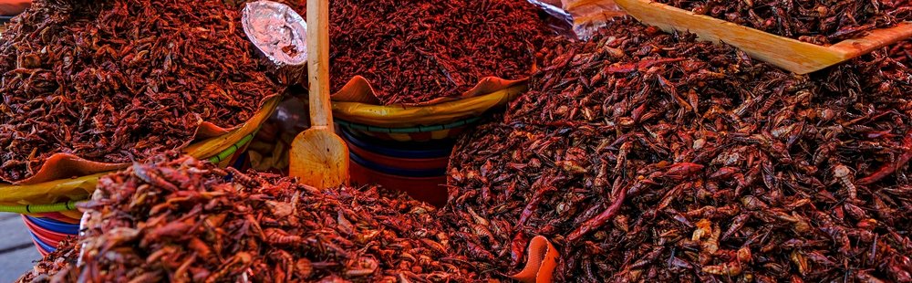 Les marchés Benito Juárez et 20 de Noviembre