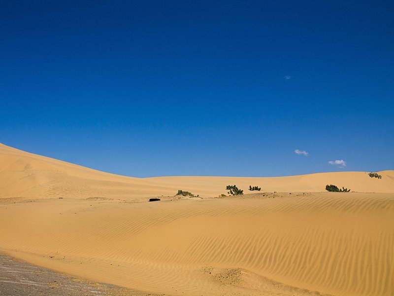 Parc national Los Médanos de Coro