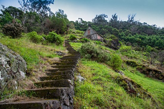Levada do Canical au Vereda do Larano