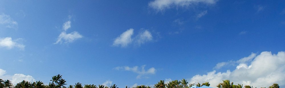 Pink Sands Beach à Harbour Island