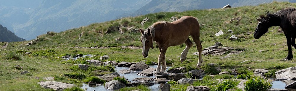 Le parc naturel de la vallée de Sorteny