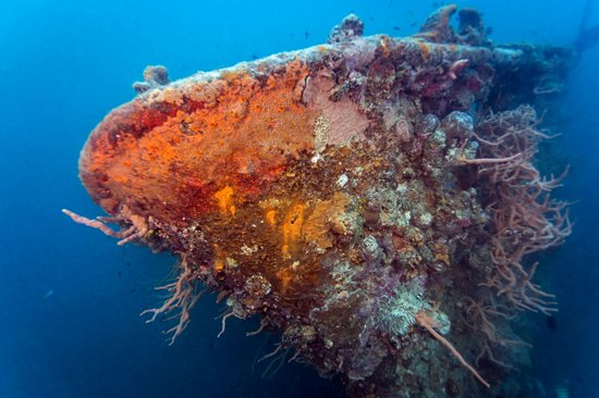 Explorer les fonds marins en plongée