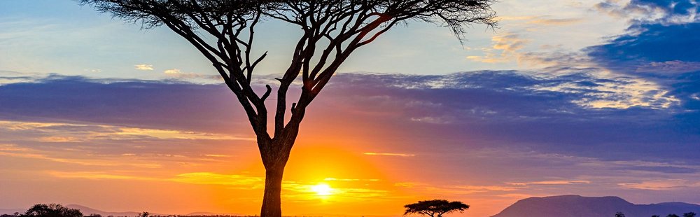 Quand visiter le Serengeti ?