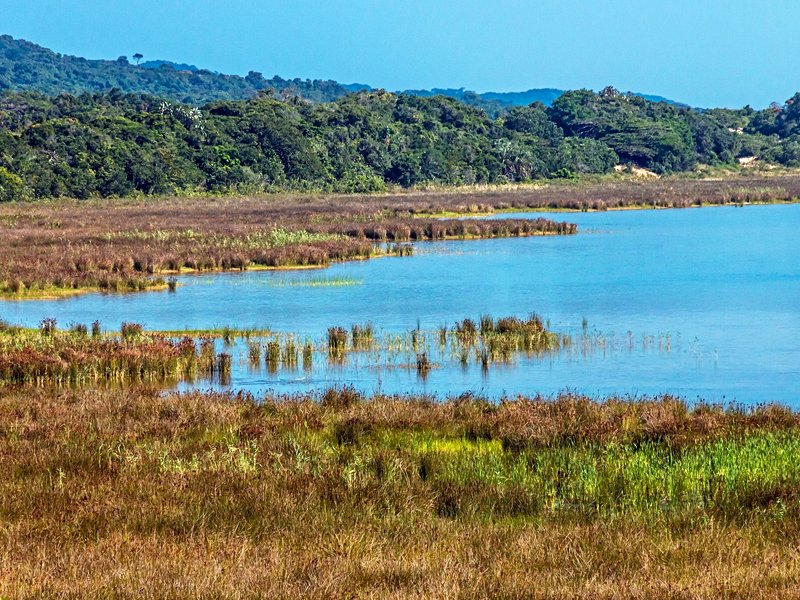 Le Parc naturel d’iSimangaliso et Sainte Lucie