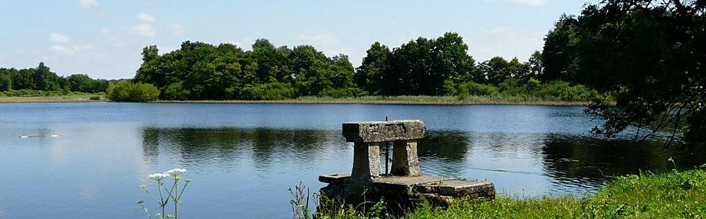 La Dombes