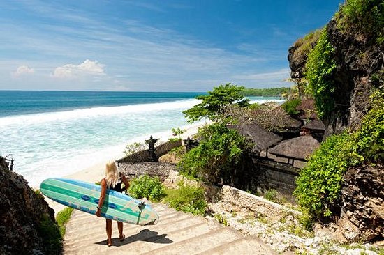 Surfer