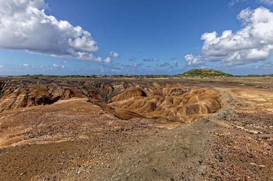 La Savane des Pétrifications