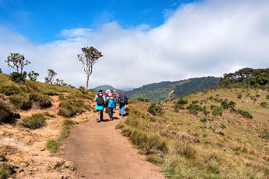 Parc national de Horton Plains