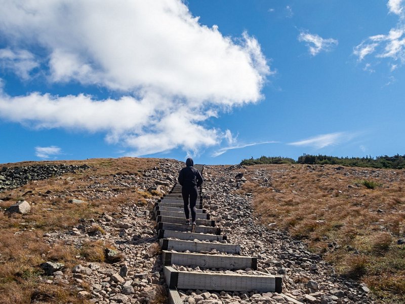 Parc national de la Jacques-Cartier