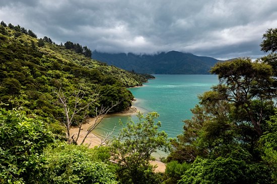 Golden Bay