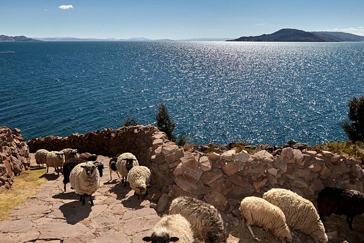 Lac Titicaca - Pérou / Bolivie 4