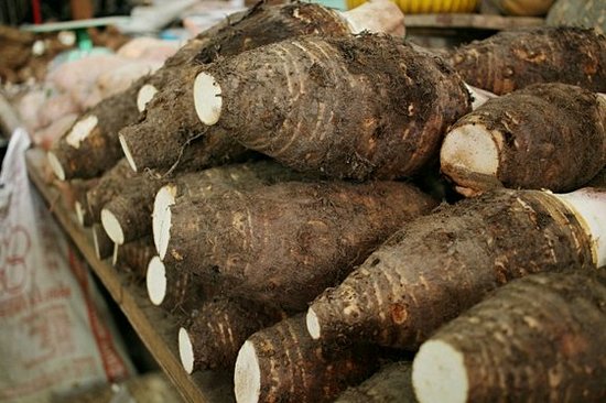 Faire une balade gastronomique dans la région de Bassar
